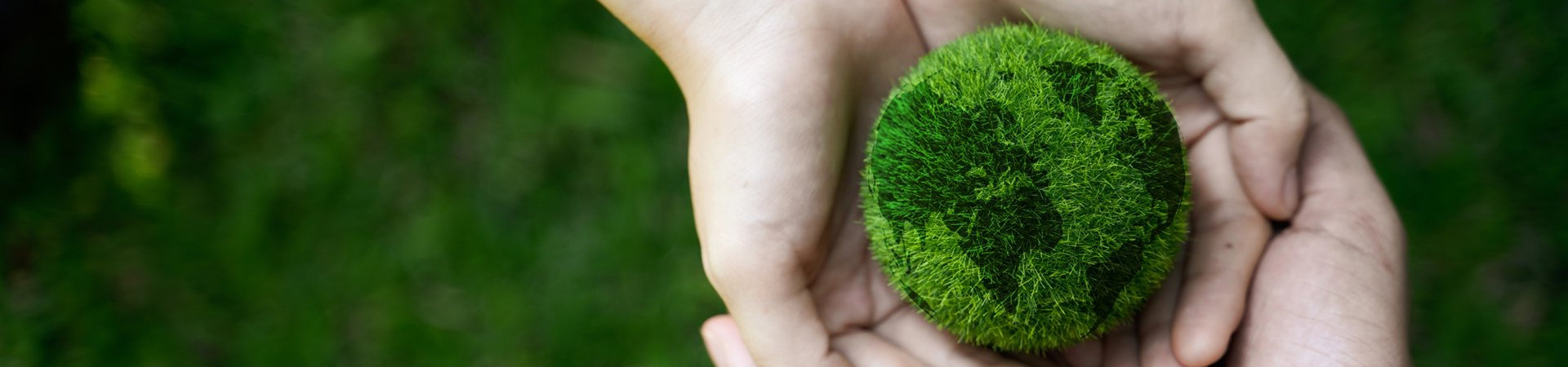 Eco-Fume-bg