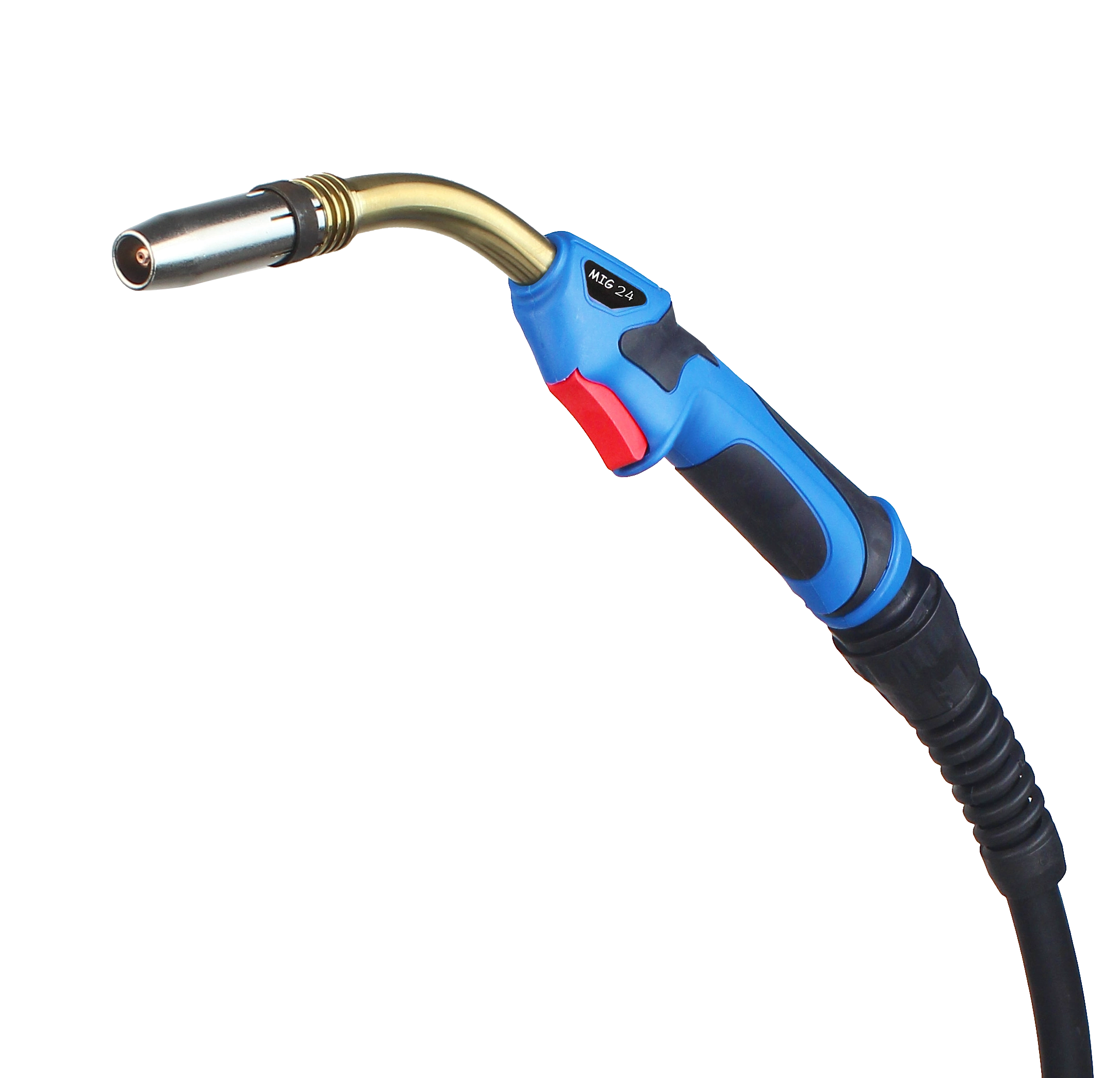 TORCH 24
