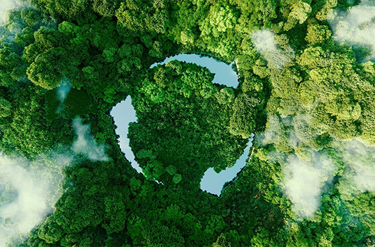 eco